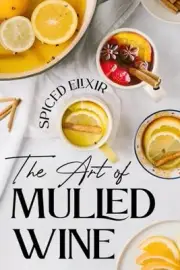 Flynn - Spiced Elixir The Art of Mulled Wine Cocktail Recipes - New - J555z