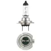 Narva H7 PX26D Globe - 12V, 80W