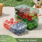 Food Crisper Container Refrigerator Plastic Lunch Box Plastic Lunch Box