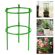 Tomato Cage for Small Tomatoes Ample Sunlight Avoid Overcrowding