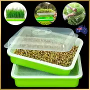 1-3XSeed Sprouter Tray with Lid BPA Free Bean Sprout Grower Sprouting Seeds Tray