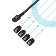 Mini-SAS Data Transfer Cable, SFF-8087 to 4 SATA Cable, 3.3ft, Blue