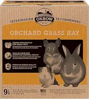 Oxbow Animal Health Orchard Grass, Guinea Pig Hay, Rabbit Hay, Small Pet Bunny Supplies, All Natural Grass for Guinea Pig, Bunny, Chinchilla & Hamster, Oxbow Rabbit Supplies for Bunnies, 9 lb. Box
