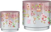 Silver Buffalo Strawberry Shortcake Core Vintage Reactive Glaze Ceramic Planter Pot
