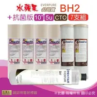 在飛比找森森購物網優惠-【水蘋果】抗菌版10英吋5微米PP濾心+CTO活性碳濾心+水