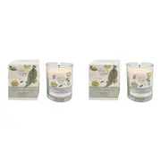 2x Urban Australian Botanicals May Gibbs 150g Soy Blend Glass Candle Green/YLLW