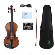 New 5 String Electric Violin 4/4 Maple Spruce Free Case Bow Ebony Fittings
