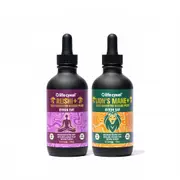 [Lifecykel] PM Pack - Lion's Mane & Reishi, 120ml