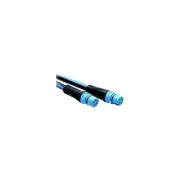 Raymarine Raymarine A06035 Backbone Cable 3M A06035