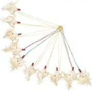 Ciieeo 10pcs Conch Whistle for Decorative Shell Noisemakers Musical Instruments for present for Parties and Celebrations
