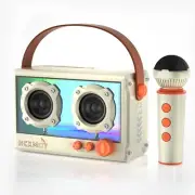 Mini Karaoke Machine: with Bluetooth and Wireless Microphone for Adults Kids