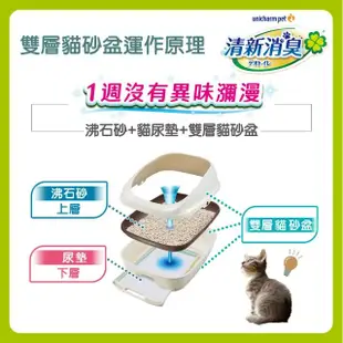 【Unicharm Pet清新消臭】雙層貓砂盆-幼貓用(消臭大師)