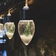 1pc Christmas Tree String Lights; Snow Globe Light; Indoor And Outdoor Decoratio