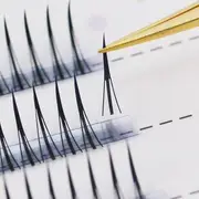 SIDIT - Natural Doll Eye Cluster False Eyelashes Black (11mm) - One Size