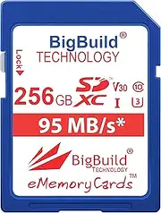 256GB UHS-I U3 95MB/s Memory Card Compatible with Sony Alpha a1, a7C, a7R IV, a7S III, a9 II Camera, Class 10 SDXC
