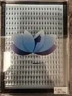 Xl 0.07C Volume Pre-made Pointy Eyelash Extensions. 10D-10mm 16 rows of 20 prema