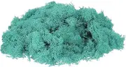 sourcing map Preserved Reindeer Moss, 7oz Fake Moss for Crafts Artificial Dried Moss for Decoration Terrariums Potted Plants, Blue