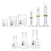 EISCO Laboratory Glassware Set, 9Pcs - Includes Beaker Set (3Pcs), Erlenmeyer Fl