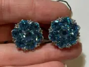 NWT Rose Brinelli Light Blue Flower Daisy Rhinestones Cluster Earring 3b 1