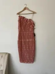 Cooper St Size 14 Lace Ruffle Dress New With Tag