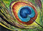 Watercolor Painting Bird Peacock Feather ACEO Art No.394