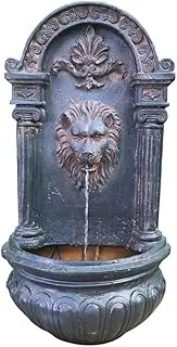 Lions Head Solar Water Feature Water Fountain
