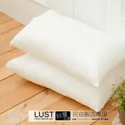 【LUST】【MIT飯店民宿專用枕 大白枕 枕頭】防蠻抗菌-台灣製【超取一張只能選擇二入，超過需選宅配部份】