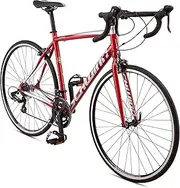 [Schwinn] Fastback Road Bike, Fastback AO70, 54cm/Large Frame