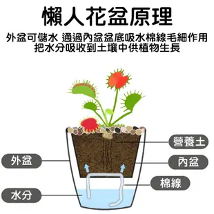 【JLS】XL號 23cm 可視水位 懶人花盆 自動澆水吸水 自動吸水花盆 (8.8折)