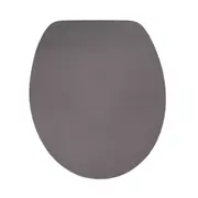 Silver Metallic Soft Close Toilet Seat