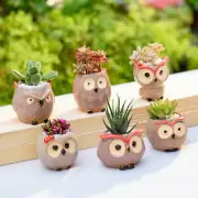 Owl Pot Succulent Plants Pots with Bamboo Saucers Mini Ceramic Planter Container