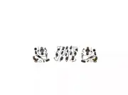 Carlson H2315 Drum Brake Hardware Kit (#98)
