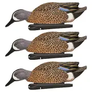 Avian X Topflight Blue-Winged Teal Duck, Realistic Floating Duck Decoy, Set of 3