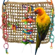 Super Bird Creations Activity Wall Bird Toy, Medium Bird Size, 12" x 14" x 3"