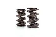 COMP Cams Valve Spring Race Extreme 1.686 in. OD Triple 2.200 in. Installed Height Set of 16
