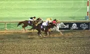 Chris McCarron on Alphabet Soup wins the Breeders' Cup Classic rac- Old Photo