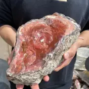 12.1lbRare Natural petrified wood rough silicified wood mineral specimen healing
