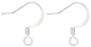 Ear Wire, 10 Silver Plated Brass 22 Gauge 17mm Flat Fishhook Ear Wires Earrings