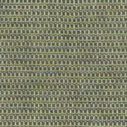 2.5 yds Nina Campbell Osborne & Little Sarangi Green Chenille Upholstery Fabric