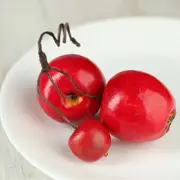 Incredibly Realistic Look Artificial Red Apple