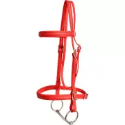 HORSE SIZE- READY MADE - Red ENGLISH BRIDLE and REINS Made from BETA BIOTHANE