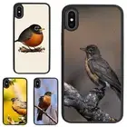 Non slip Case For iPhone XS 11 12 13 14 15 16 Pro Max brown black american robin