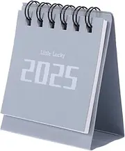 FOMIYES 2025 Mini Desk Calendar Daily Planner Notebook Desk Decor Silver Mouse Grey 2024.8-2025.12