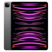Apple iPad Pro 12.9-inch (6th Generation) 256GB - WiFi/Cellular - Space Gray