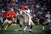 Quarterback Fran Tarkenton Minnesota Vikings drops back to pass v - Old Photo 1