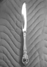 ONIEDA RAPHAEL Pierced Handle Dinner Knife 9" NEW NEVER USED 18/10