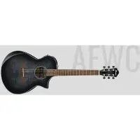 在飛比找蝦皮購物優惠-【名人樂器】IBANEZ 印尼廠 AEWC400 TKS