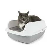 Cat Sifting Litter Box