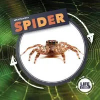 在飛比找博客來優惠-Spider