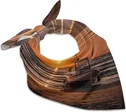 [FZQVSGW] Silk Scarf Arches National Park-standard Head Scarf for Women Small Square Scarf Lightweight Neckerchief